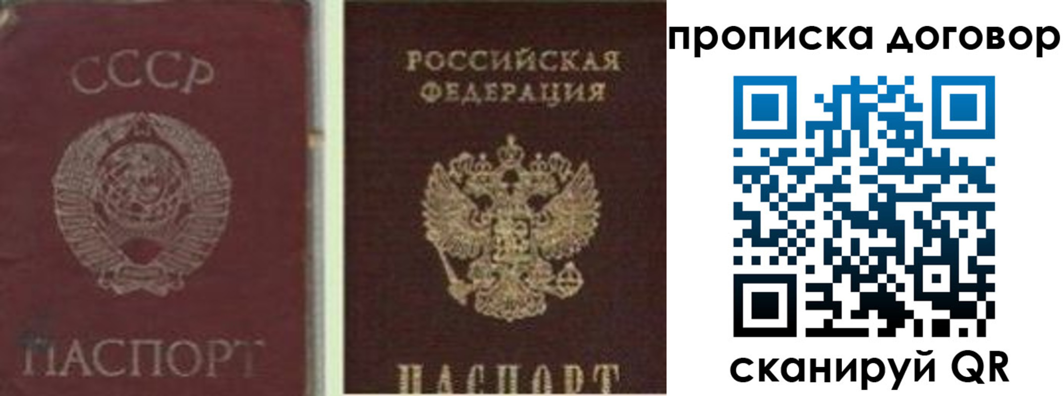 прописка гарантия в Эртили